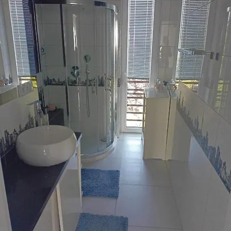 Polonia 琴斯托霍瓦